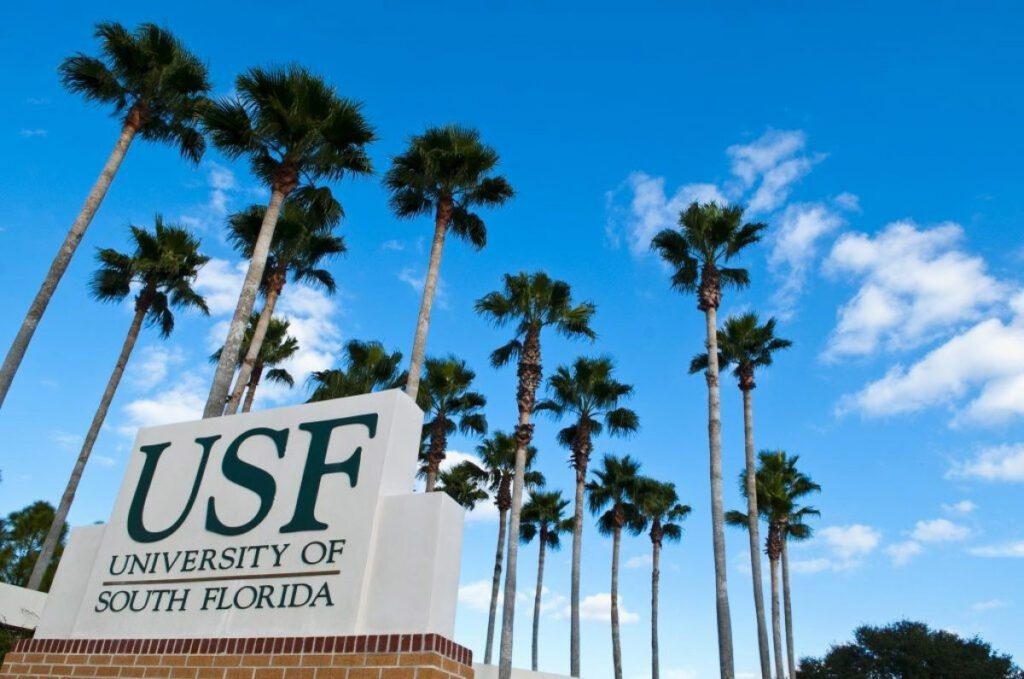 University of South Florida